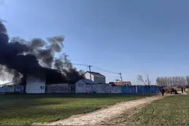 严中举：临危不惧救火险 挺身而出显担当图片