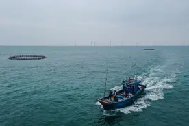 金羊网评：耕海牧渔建好“蓝色粮仓”，助力海洋经济“粤”上新高度图片