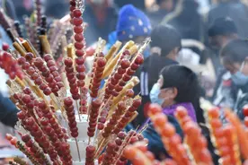 融入年味的科普新知：什么样的山楂适合做糖葫芦？年宵花有哪些？图片