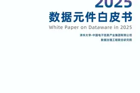 《数据元件白皮书（2025年）》在京正式发布图片