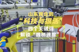 山东民企的“科技与狠活”｜四个关键词 解锁“魏桥速度”图片