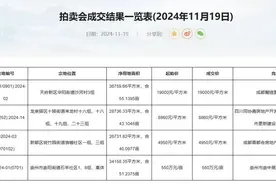 成都土拍丨四宗地底价成交 新希望再入十陵图片