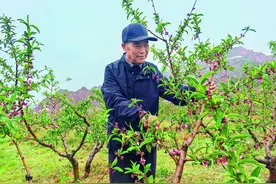 开荒披绿二十载  “愚公”有志敢为先 ——记2024年助人为乐“青海好人”武善祥图片