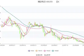 精进电动：2024年上半年营收增长近五成 电驱动系统业务持续扩张图片