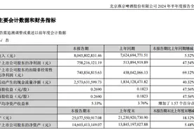 燕京啤酒2024年上半年业绩亮眼，净利润同比提升47.54%图片