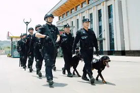 使命必达！探访警犬大队感受“奇兵”风采图片