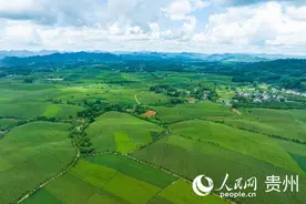“抢滩”新茶饮 “遵茶”正飘香图片