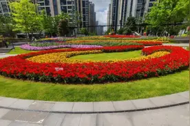 早上海头条㊵ 五一劳动节忙碌的人们，繁花绽放的街头，咖啡飘香的水岸；立夏，万物听到了新的召唤……图片