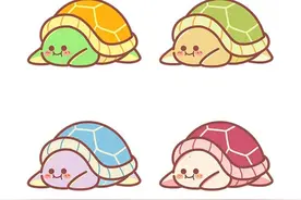 可爱又好养的小乌龟，竟携带致病菌？图片