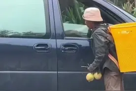 老人背着石榴去车边兜售，却没想到石榴被直接扔下车，最后老人的举动令人泪目…图片