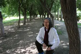 书摘｜残雪笔下的文学世界图片