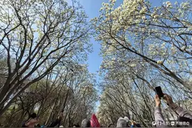 美丽的百花公园，走着走着花都开了图片