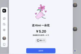 Kimi开始试探C端付费意愿，国产大模型如何突围商业化之困图片