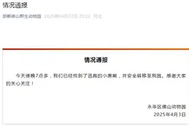 河北邯郸出逃小黑熊找到了！已安全转移至园内图片