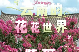 【美好生活在云南】云南的花花世界：紫薇映古韵 静待春风得意马蹄疾图片