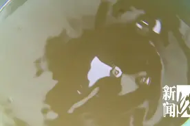 手指一摸立刻变色！沪一小区居民：谁起得早谁“遭殃”图片