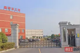 年产量15亿只！长江新区这家企业打造绿色包装“智造”标杆图片