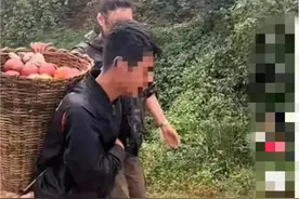 凉山男孩辍学卖苹果供北大哥哥读书？官方：摆拍图片