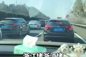 第一批过年回家的人已堵在路上，女子从浙江自驾回贵州过春节，开车20多个小时只走了一半。当事人：还好走得早，再晚两天可能会更堵，基本都是车祸拥堵图片