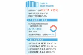 2024年全省进出口总值超8200亿元 河南外贸逆势增长韧性足图片