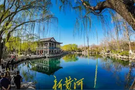 暖阳高照，五龙潭樱花初绽放图片