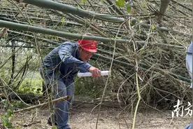 湛江供电局驰援海南抢险，完成第一条跨江段线路修复图片