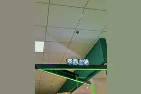 超百家公司名叫“不想上班”，多个老板回应：是真的不想上班图片