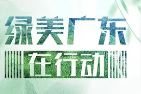 白鹤“仙子”首现广东汕尾，东方白鹳、彩鹳等珍稀候鸟齐亮相图片
