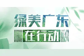 2024年绿美广东生态建设考核结果出炉，广州等8市获优秀图片