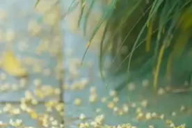 我们法律人总以为这个世界应当是讲法律的图片