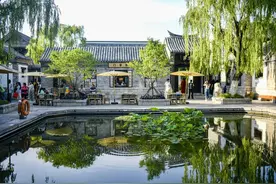 漫步济南老街巷，遇见诗意和浪漫图片
