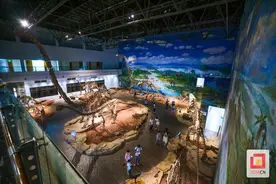 积极发挥示范引领作用 自贡恐龙博物馆践行文明旅游担当图片