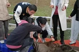 “课上完了，也吃饱了……”图片