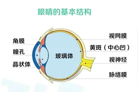 爱尔科普：吃糖容易导致近视？图片