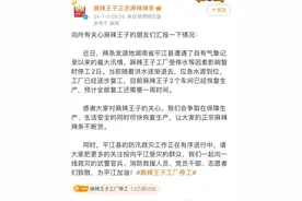 麻辣王子停工上热搜！全国超九成辣条企业由平江人创办图片