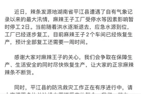 麻辣王子停工上热搜！全国超九成辣条企业由平江人创办图片
