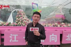 春风有信，“尔滨”再邀广州游客感受迷人“哈夏”！图片