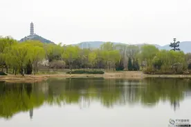 清明赏花踏青 北京这些小众公园值得去图片