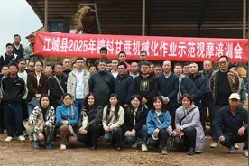普洱江城：田间培训机械化技术 助力“甜蜜事业”提质增效图片