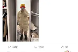 海报观察丨上班“恶心穿搭”意外走红，何以引发年轻人共鸣？图片