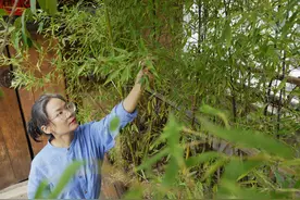 新华全媒+·文化中国行｜非遗焕新力——彩色铺陈 染绘自然图片