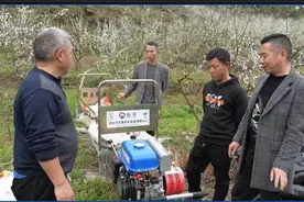 思南水果基地安上单轨运输车  省时省力又省心图片