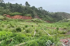 滇中引水项目全力打造生态工程图片