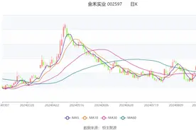 金禾实业：2024年上半年净利润2.47亿元 同比下降38.74%图片