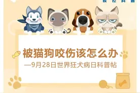 被猫狗咬伤怎么办？9月28日世界狂犬病日科普帖图片