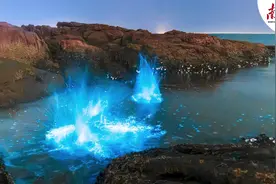 大海里的“浩瀚星辰”！珠海再现“蓝眼泪” | 南方＋拍客图片