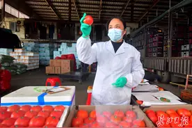 每日快检守护武汉食品安全，蔬果农残检测3分钟出结果图片