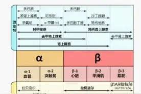 基础知识∣常用心血管活性药物用法、用量图片