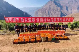 禄劝沃柑、天麻甜点等多款农产品首发澳门图片