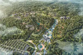 北京房山大熊猫基地明年开园 50只大熊猫将落户北京图片